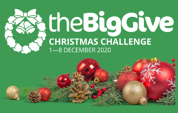 Big Give campaign header