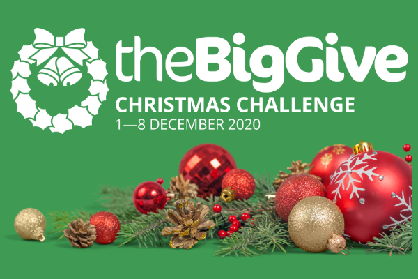 Big Give campaign header