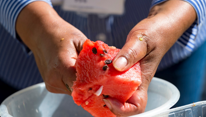 hands cutting melon