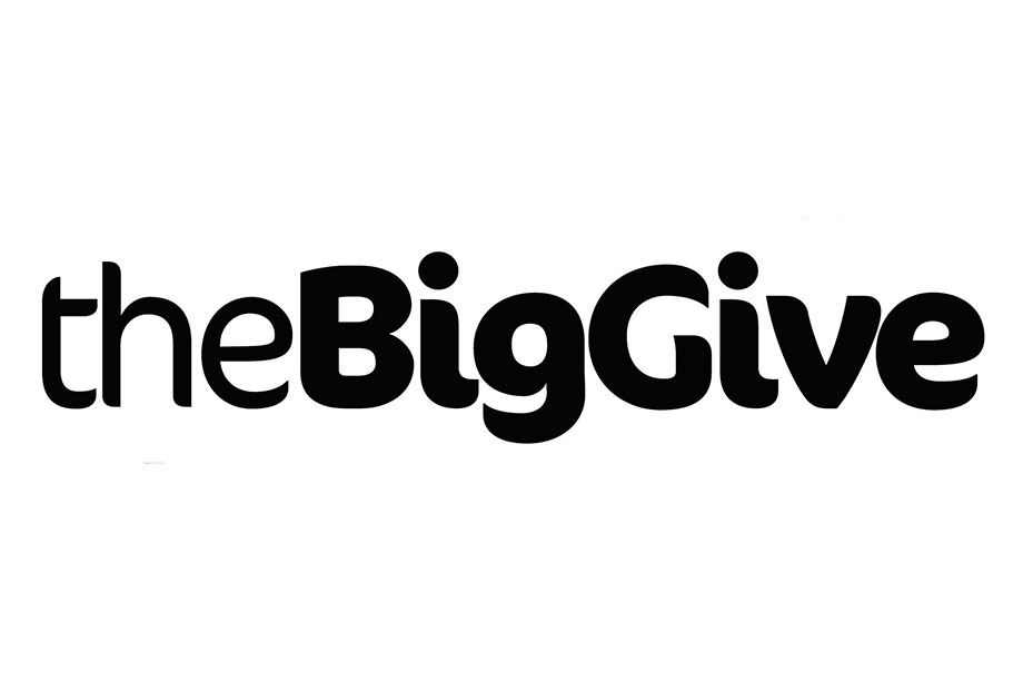 the big give logo